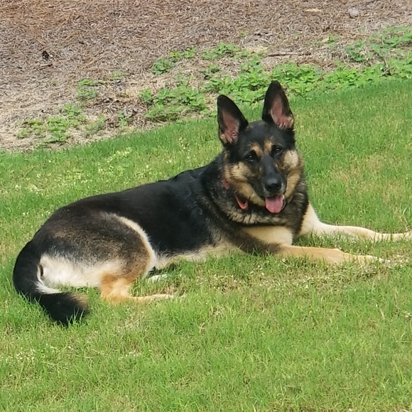 Nothing - Picture 1 of 1